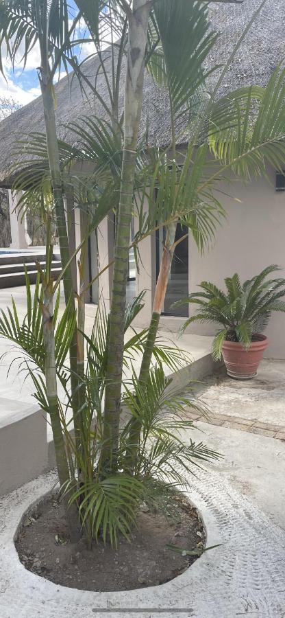 فندق Wild Goose مارلوث بارك المظهر الخارجي الصورة