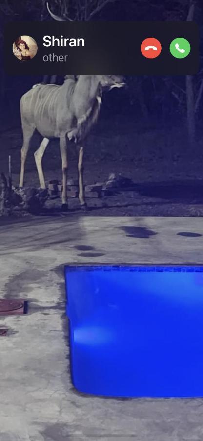 فندق Wild Goose مارلوث بارك المظهر الخارجي الصورة